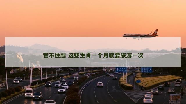 管不住腿 这些生肖一个月就要旅游一次