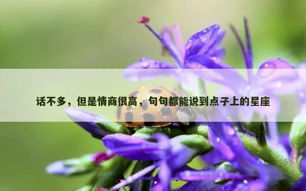 话不多，但是情商很高，句句都能说到点子上的星座