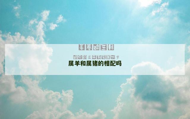 属羊和属猪的相配吗