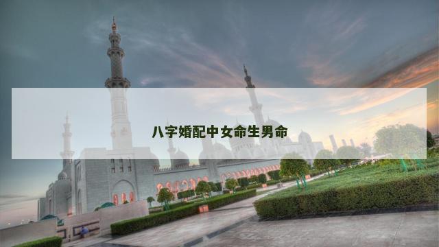 八字婚配中女命生男命