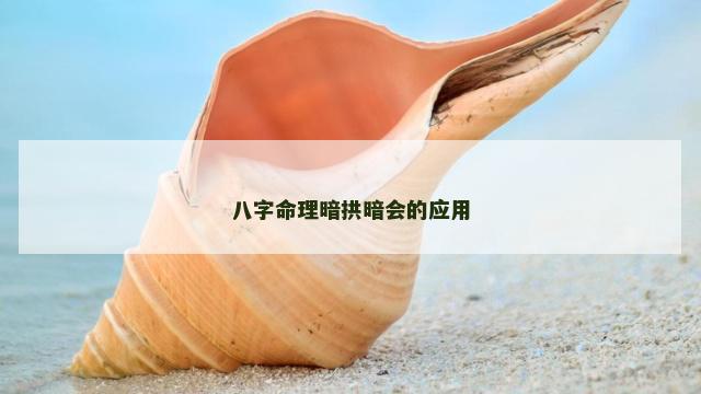 八字命理暗拱暗会的应用