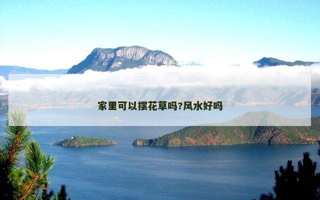 家里可以摆花草吗?风水好吗