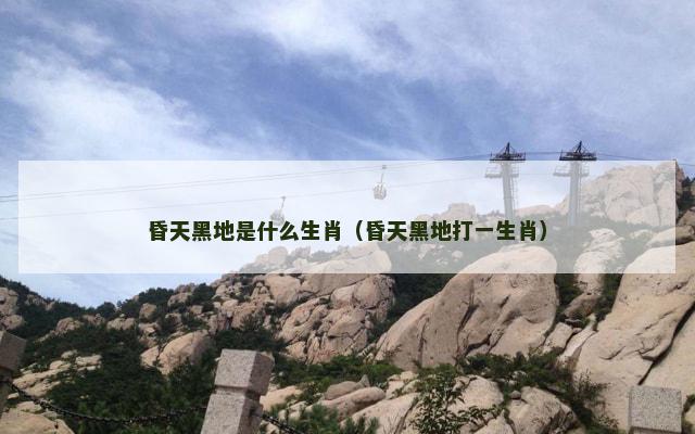 昏天黑地是什么生肖（昏天黑地打一生肖）