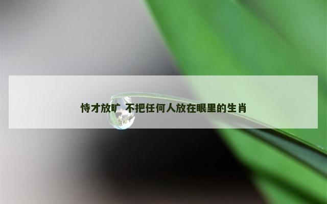 恃才放旷 不把任何人放在眼里的生肖