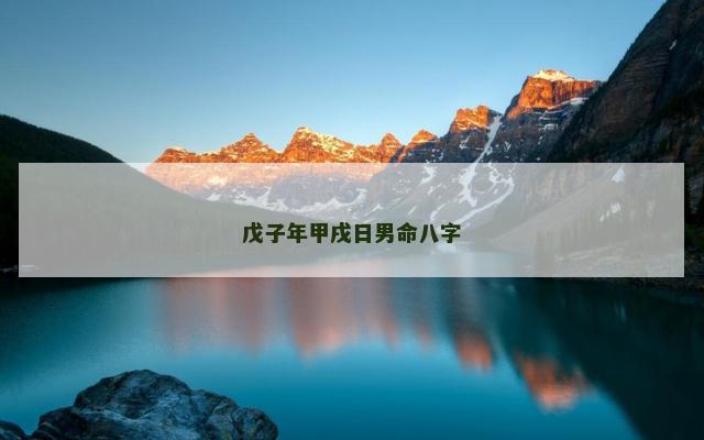 戊子年甲戌日男命八字