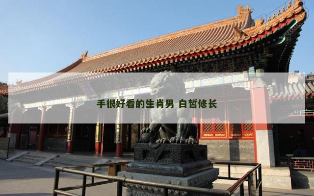 手很好看的生肖男 白皙修长
