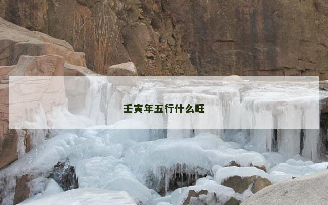 壬寅年五行什么旺