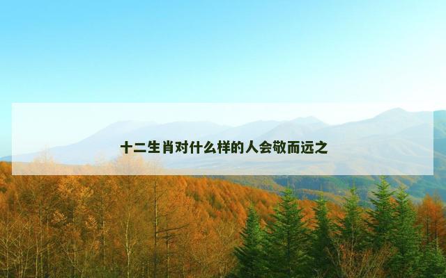 十二生肖对什么样的人会敬而远之