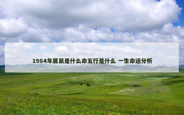 1984年属鼠是什么命五行是什么 一生命运分析