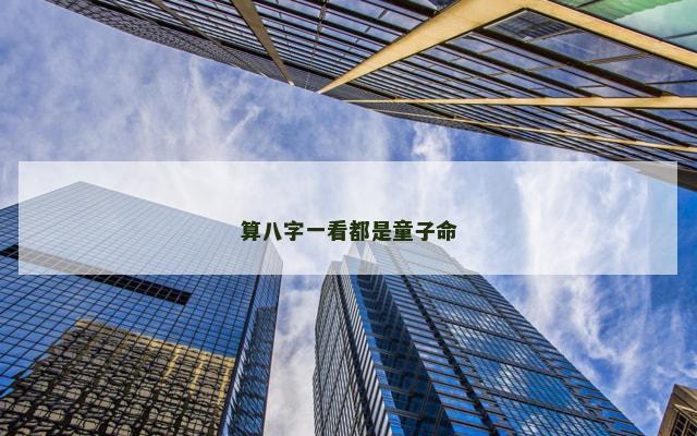 算八字一看都是童子命
