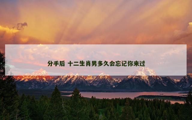 分手后 十二生肖男多久会忘记你来过