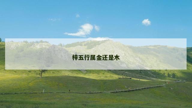 梓五行属金还是木