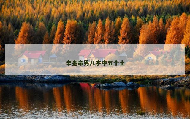 辛金命男八字中五个土