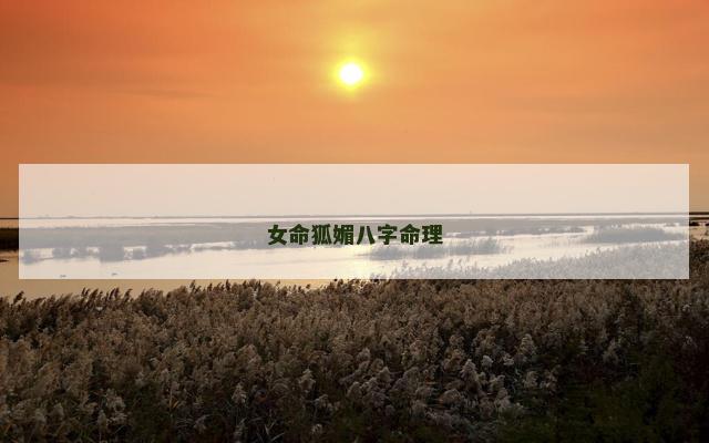 女命狐媚八字命理