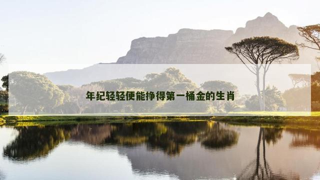 年纪轻轻便能挣得第一桶金的生肖