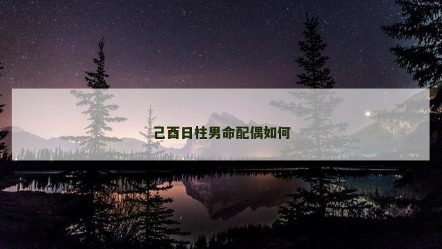 己酉日柱男命配偶如何