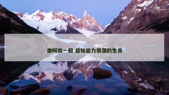 像柯南一般 感知能力很强的生肖