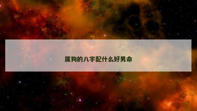 属狗的八字配什么好男命