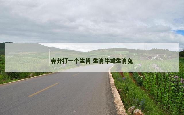 春分打一个生肖 生肖牛或生肖兔