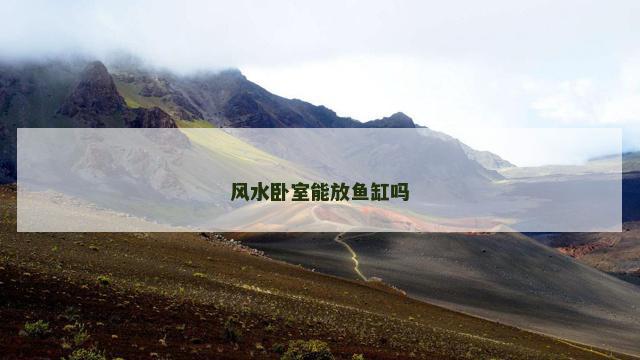 风水卧室能放鱼缸吗