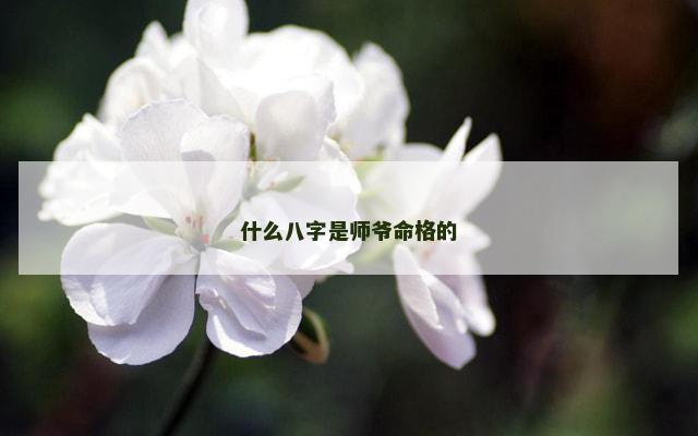 什么八字是师爷命格的