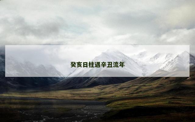 癸亥日柱遇辛丑流年