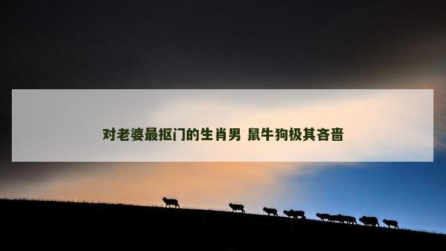 对老婆最抠门的生肖男 鼠牛狗极其吝啬
