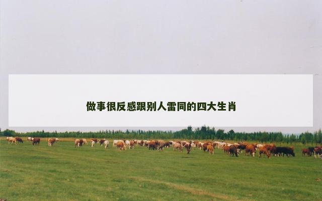 做事很反感跟别人雷同的四大生肖