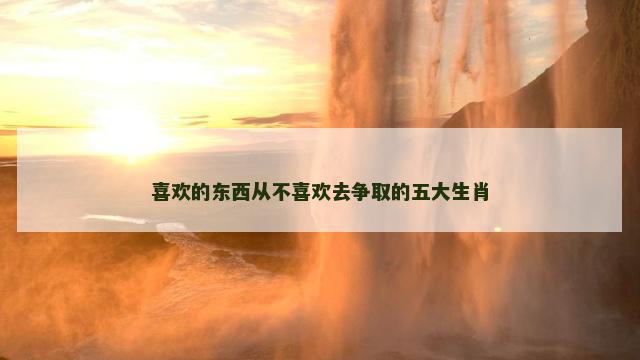 喜欢的东西从不喜欢去争取的五大生肖