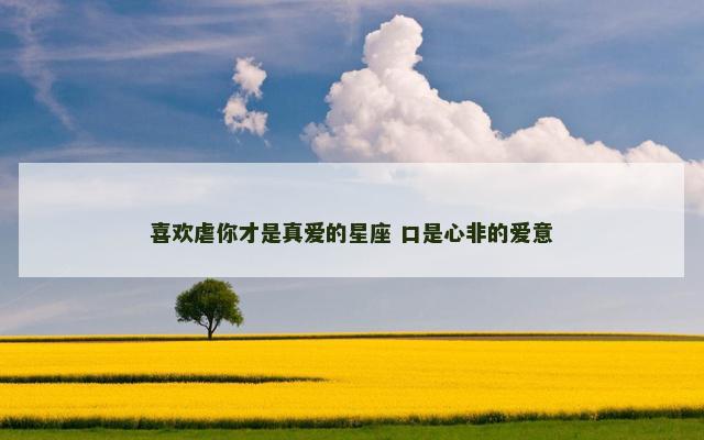 喜欢虐你才是真爱的星座 口是心非的爱意