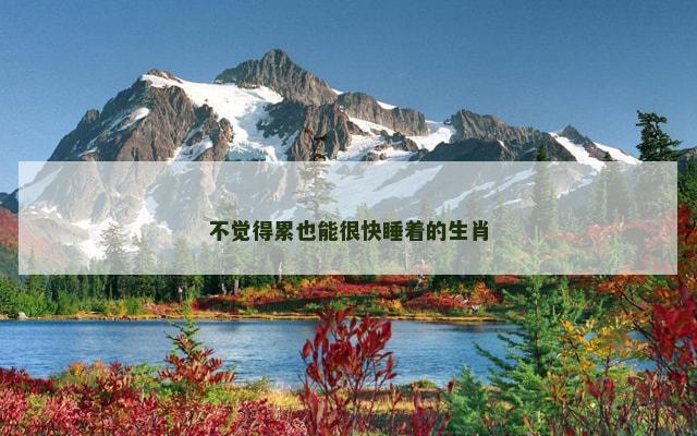 不觉得累也能很快睡着的生肖