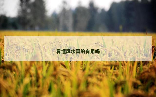 看懂风水真的有用吗