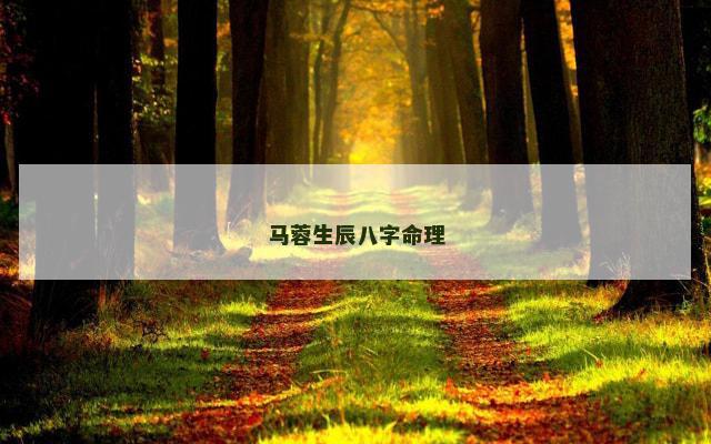 马蓉生辰八字命理
