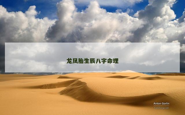 龙凤胎生辰八字命理
