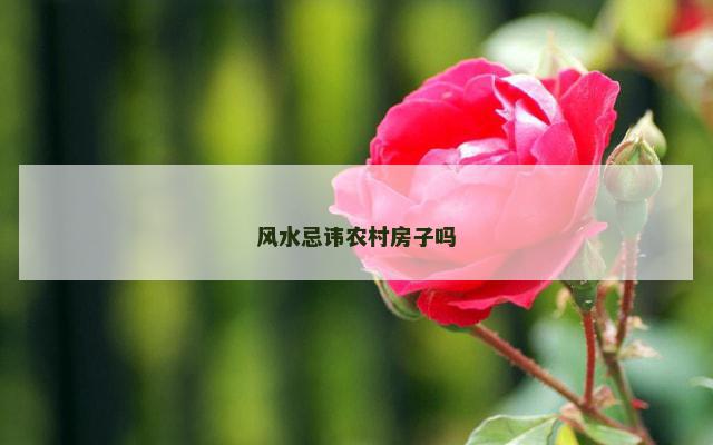 风水忌讳农村房子吗