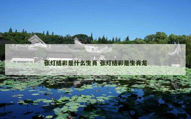 张灯结彩是什么生肖 张灯结彩是生肖龙