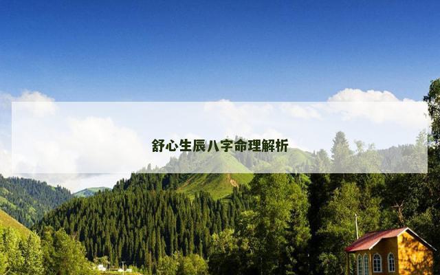 舒心生辰八字命理解析
