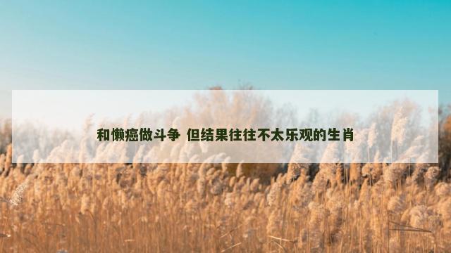 和懒癌做斗争 但结果往往不太乐观的生肖