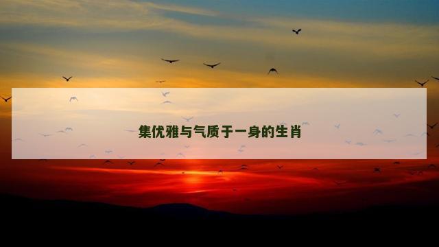 集优雅与气质于一身的生肖