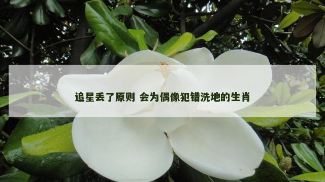追星丢了原则 会为偶像犯错洗地的生肖