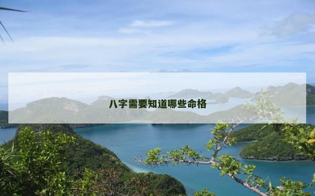 八字需要知道哪些命格