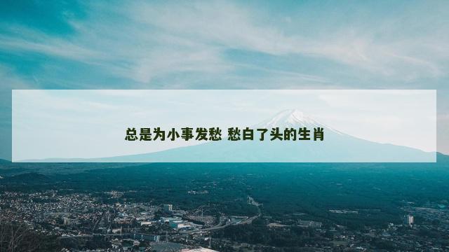 总是为小事发愁 愁白了头的生肖