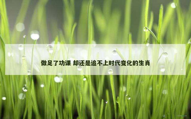 做足了功课 却还是追不上时代变化的生肖