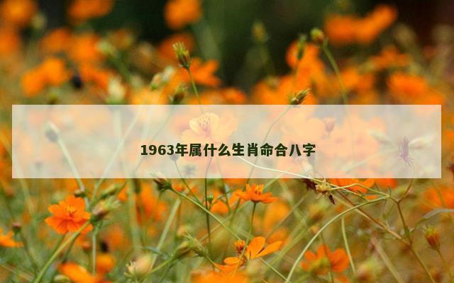 1963年属什么生肖命合八字