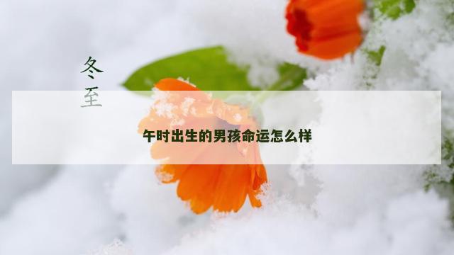 午时出生的男孩命运怎么样