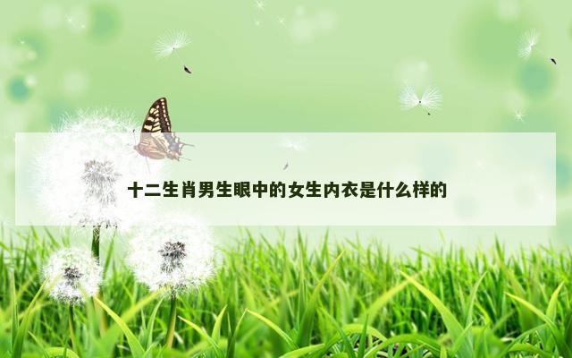 十二生肖男生眼中的女生内衣是什么样的