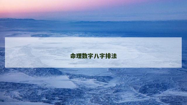 命理数字八字排法