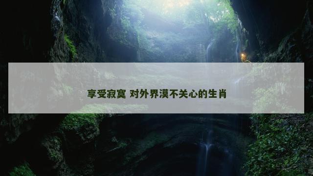 享受寂寞 对外界漠不关心的生肖
