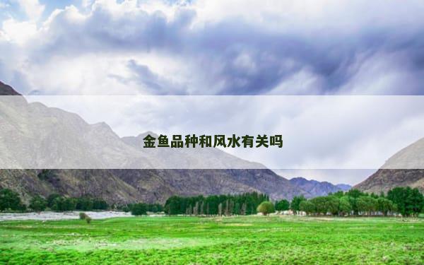 金鱼品种和风水有关吗