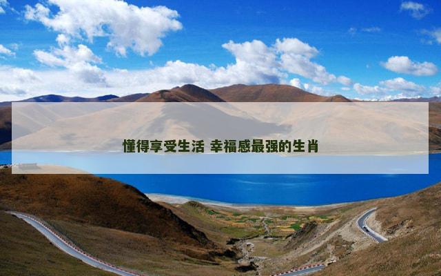 懂得享受生活 幸福感最强的生肖